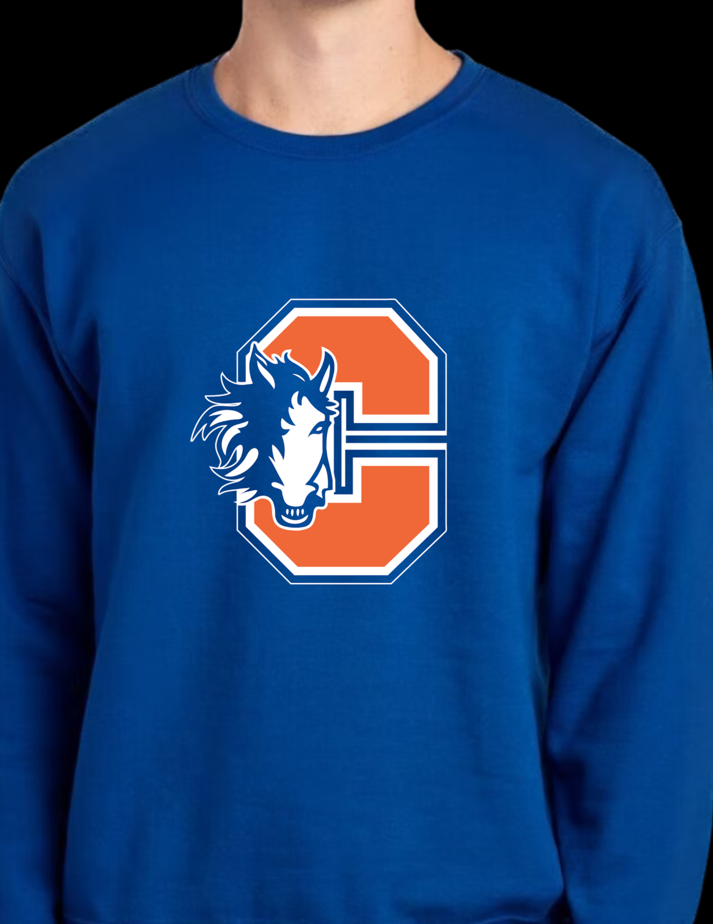 Chester Elementary blue sweatshirt adult