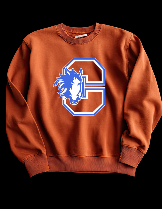 Chester Elementary orange sweatshirt