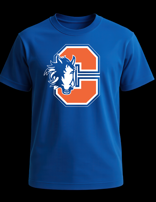 Chester Elementary Blue t-shirt youth