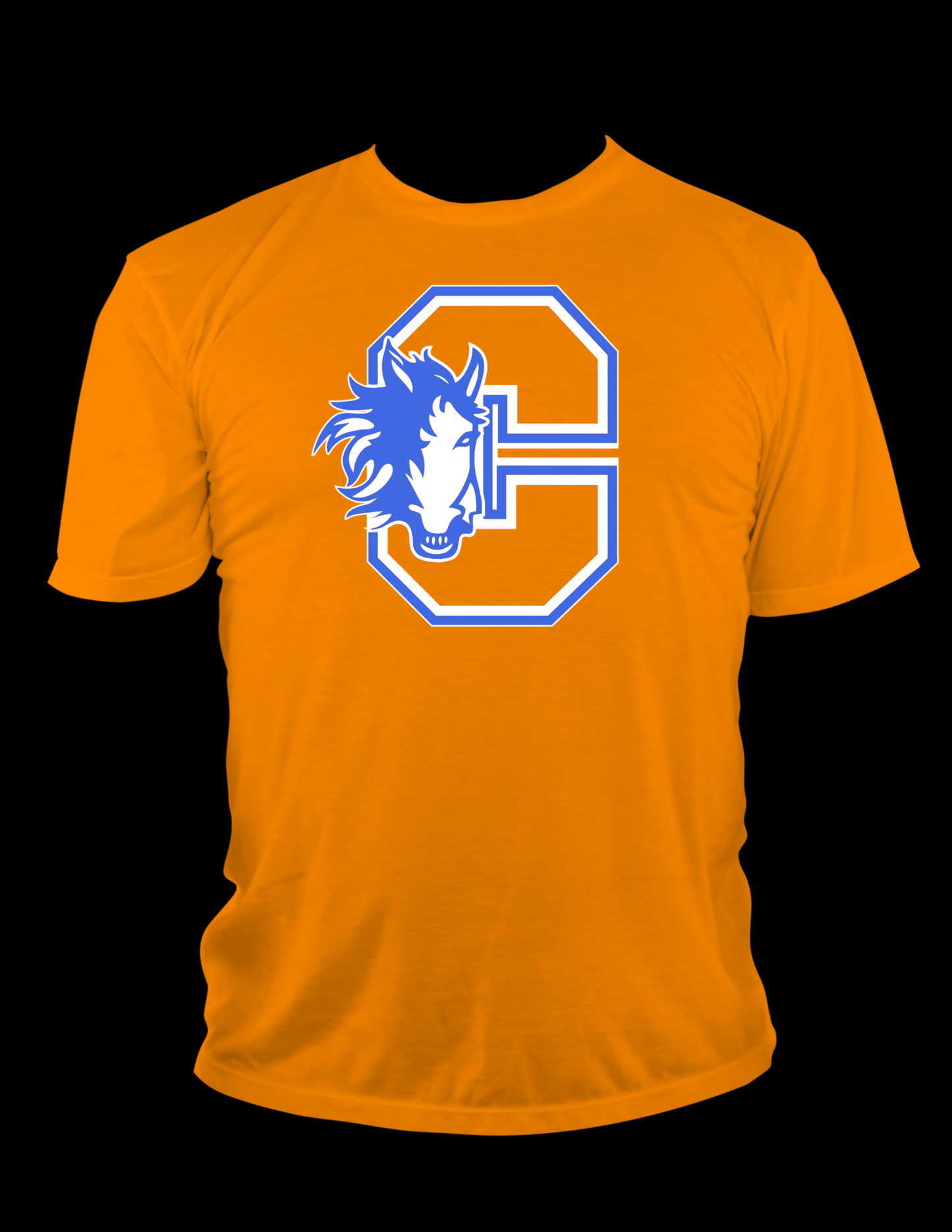 Chester Elementary orange t-shirt