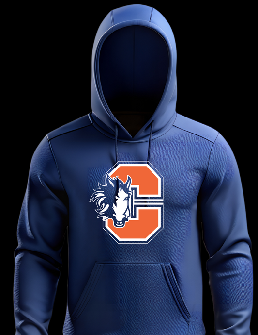 Chester Elementary blue hoodie youth