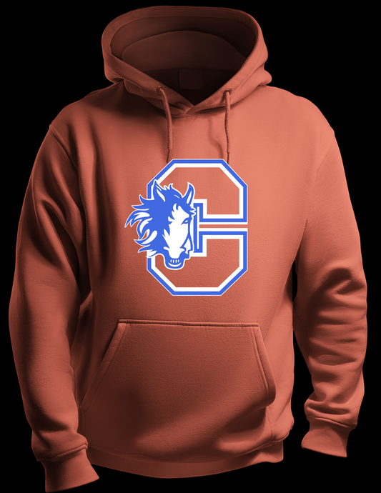 Chester Elementary orange hoodie youth